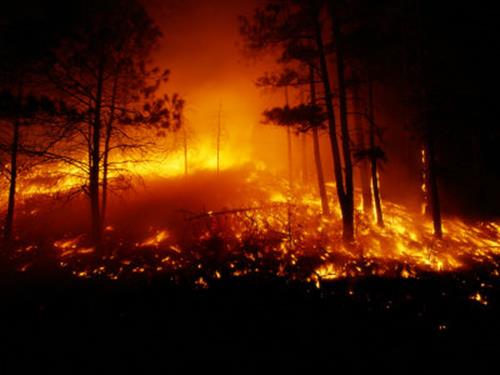 A partir de 1 de julho inicia-se o período crítico de incêndios florestais
